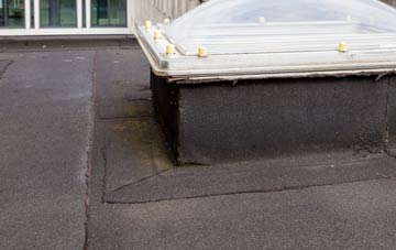disadvantages of Triffleton flat roofs