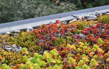 the cost of Triffleton green roof installation