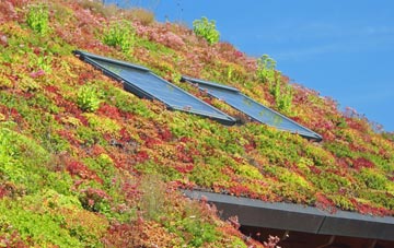 Triffleton living roof systems
